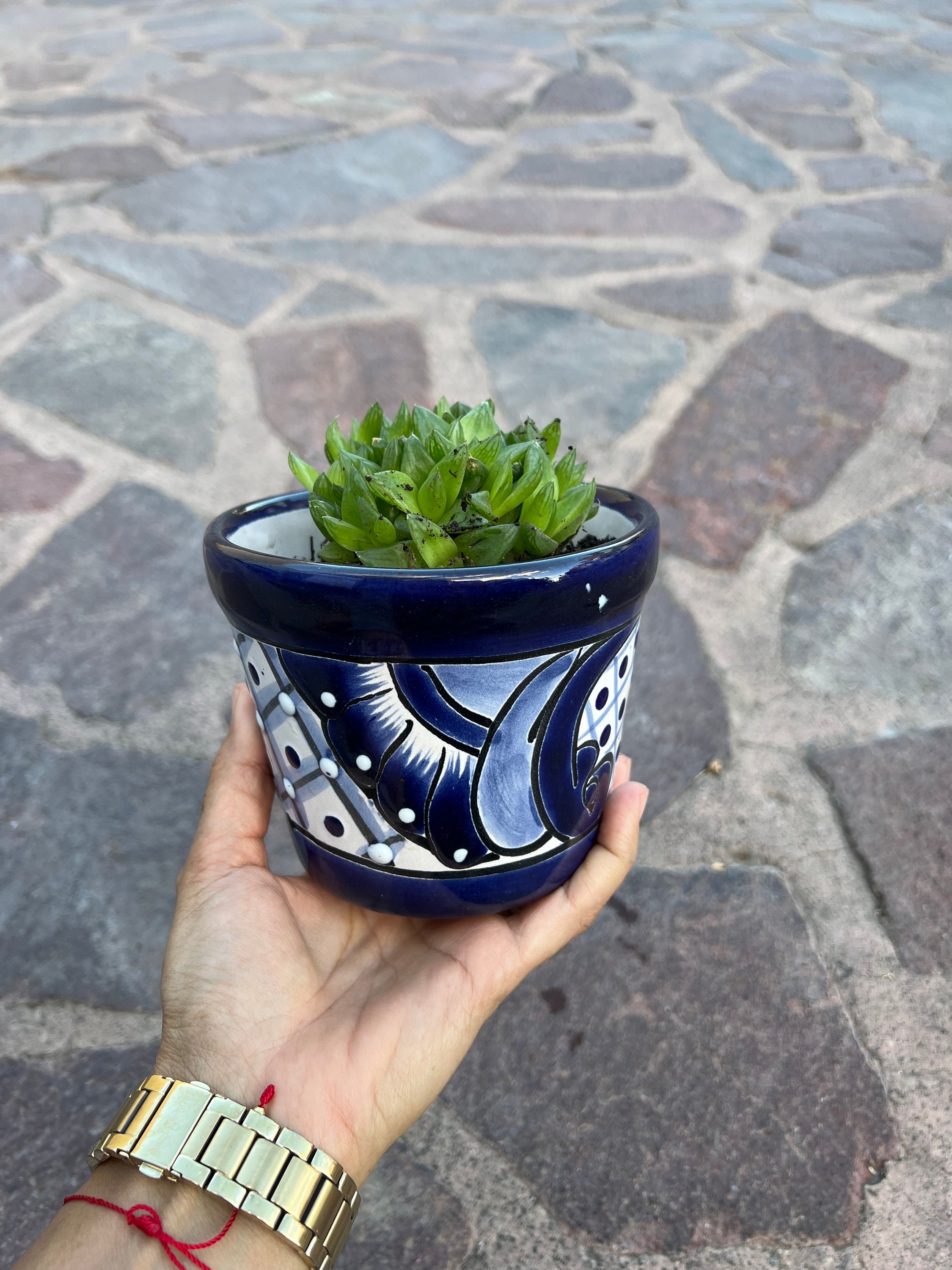 メキシコのタラベラ焼きの植木鉢（受け皿付き）、民芸陶器 - Etsy 日本