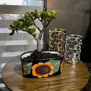 Flower Planter, Succulent Planter, Planter with Saucer, Mexican Talavera Pottery, Ceramic Art from Mexico, Folk Art Indoor Planter