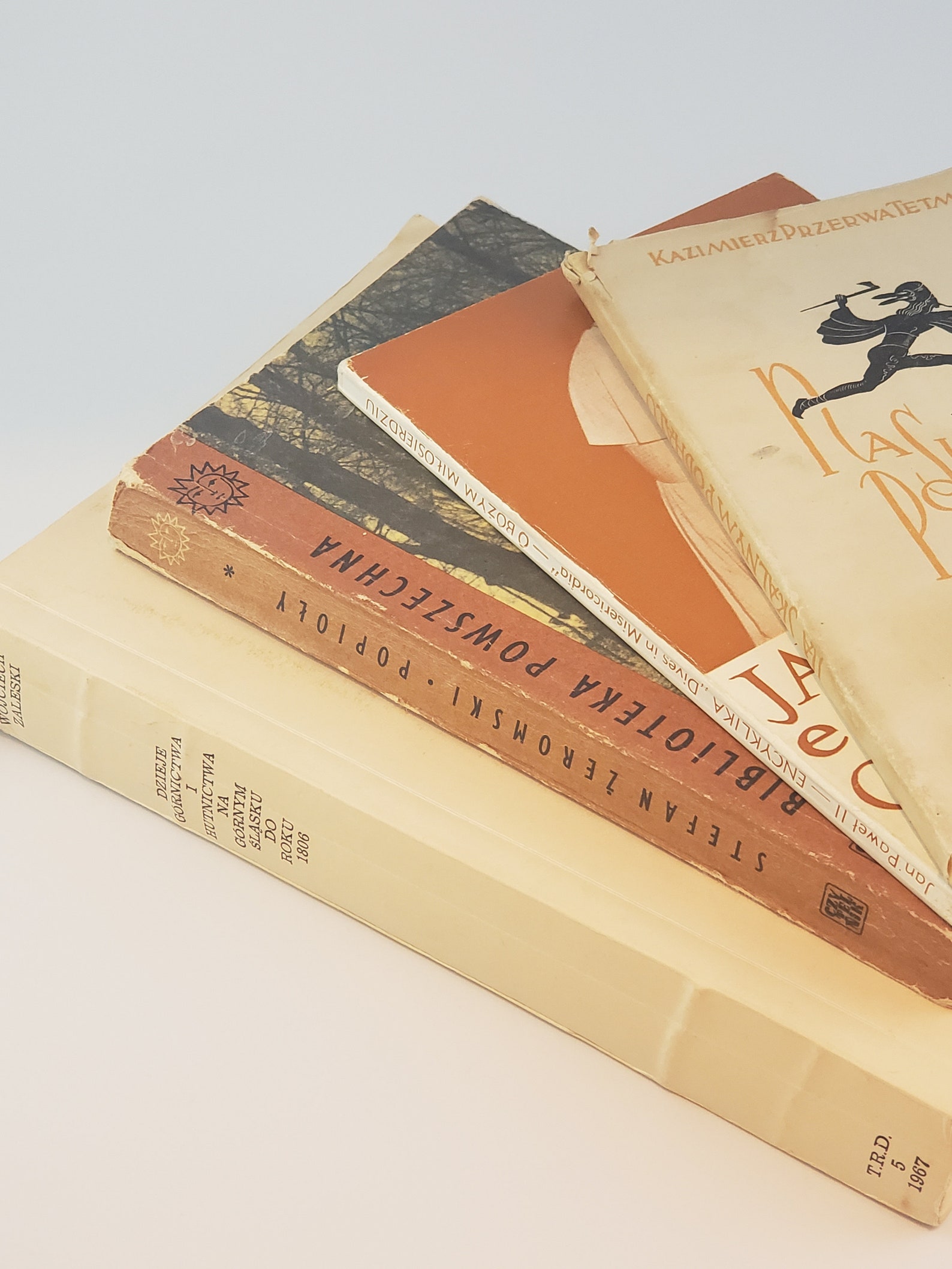 Vintage Books From Poland Polish Earthtone Book Set 4 Old Books Written