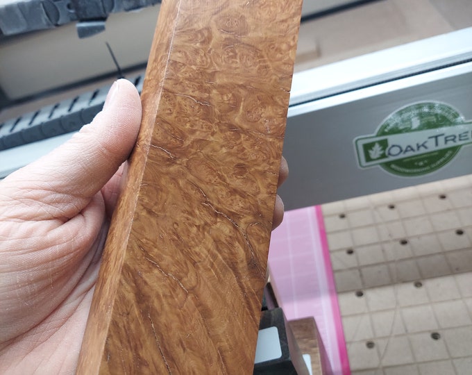 Premium cut Australian Browm Mallee Burl block