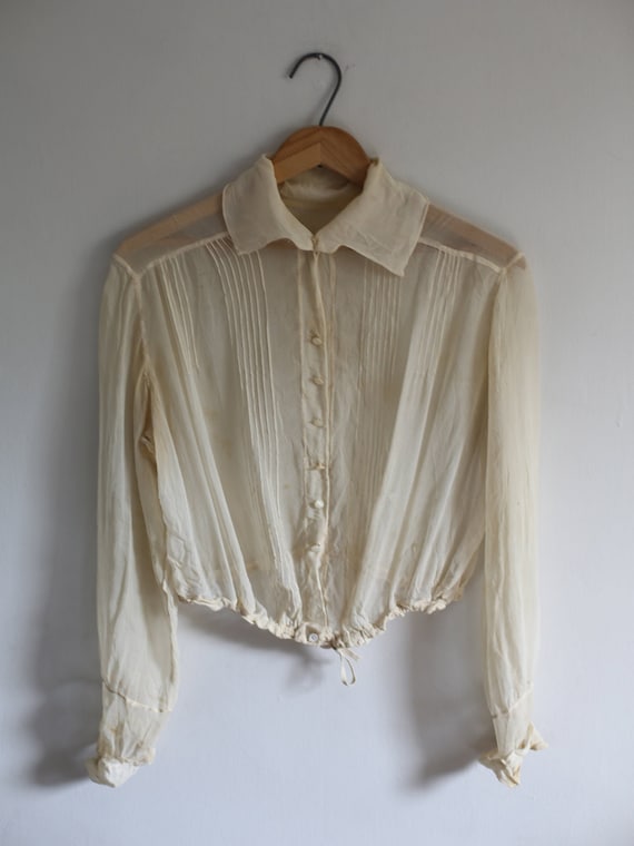 Delicate Victorian Sheer Blouse