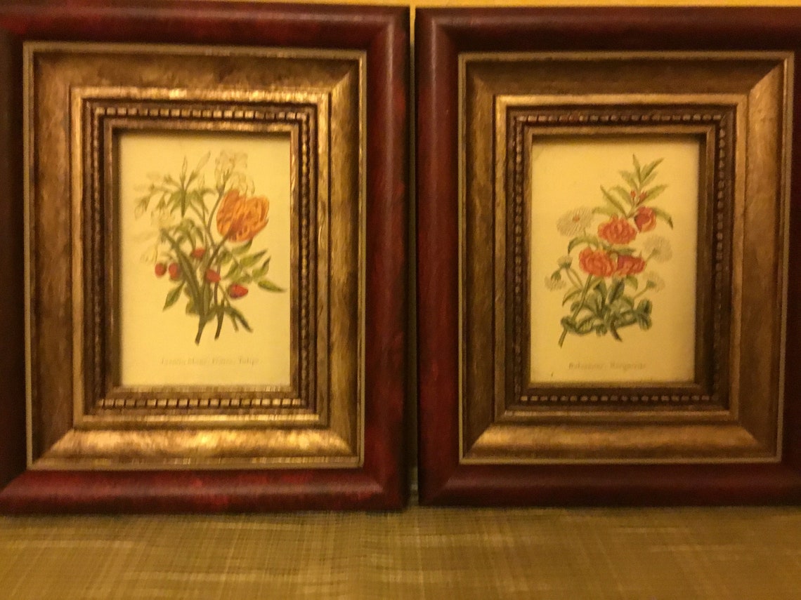 The Uttermost Company Rocky Mount Virginia Set of 8 Floral Etsy Ireland