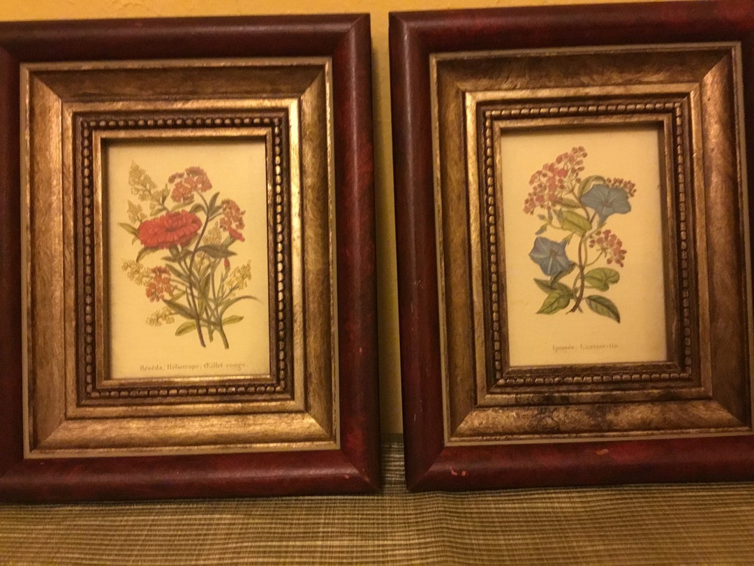 The Uttermost Company Rocky Mount, Virginia Set of 8 Floral Pictures Etsy