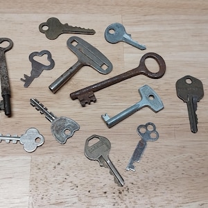 May include: A collection of eleven assorted metal keys of varying shapes, sizes, and finishes. The assortment includes several antique skeleton keys with rusted surfaces, modern silver-toned house keys, and unique brass-colored keys with distinct bow designs.