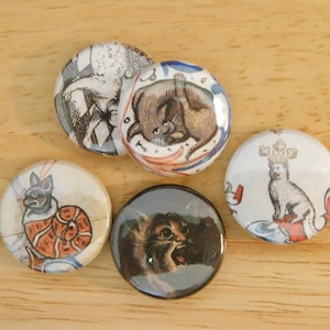1&quot; Button Set Medieval Cats, 4 pc 5 pc (antique art history europe goblincore gothic cat lover illustration gift stocking stuffer keychain)