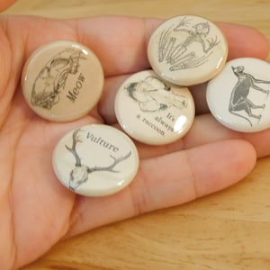 1&quot; Button Set Vulture Culture, 5 pc (oddities curiosities bones skeleton skull goblincore cat raccoon 1 one in inch gift stocking stuffer)