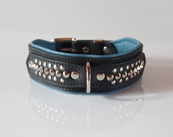 Luxury Dog Collar in Black Vegetan Leather with Blue Padded Lining and Silver Nickel Plated Rivets