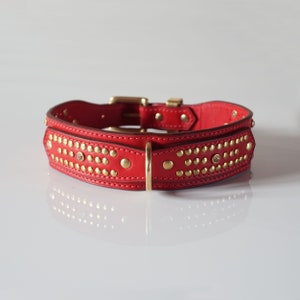Luxury Dog Collar in Red Vegetan Leather and Solid Brass Hardware, Gold rivets and Crystals