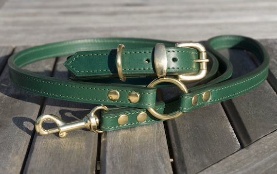 matching dog collars