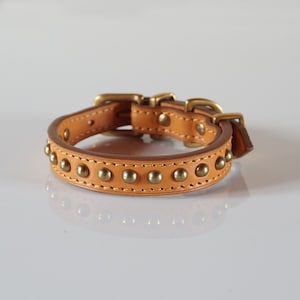 Luxury Dog Collar in High Quality Tan Vegetan Leather and Dome Rivets.