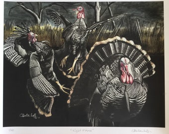 Wild Turkeys (Night Moves)