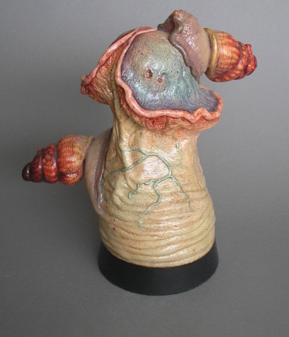 snail penis snail penis