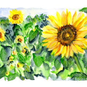 Sunflowers, Sunflower Art Print, Sunflower Field, Sunflower Painting