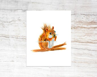 Squirrel print, Animal, Animal Lover, squirrel, Watercolor squirrel print, watercolor print animal