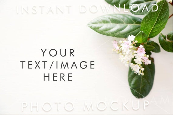 Mockup Flowering Plant Desk Top Empty Table Mockup Flowering Plant Desk Top Empty Table