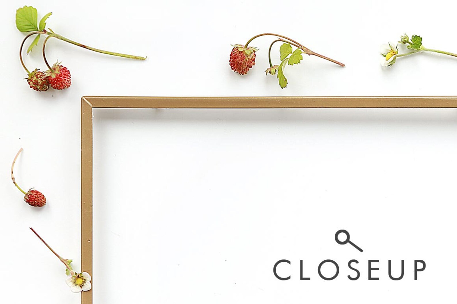 mockup desktop frame mockup desktop frame