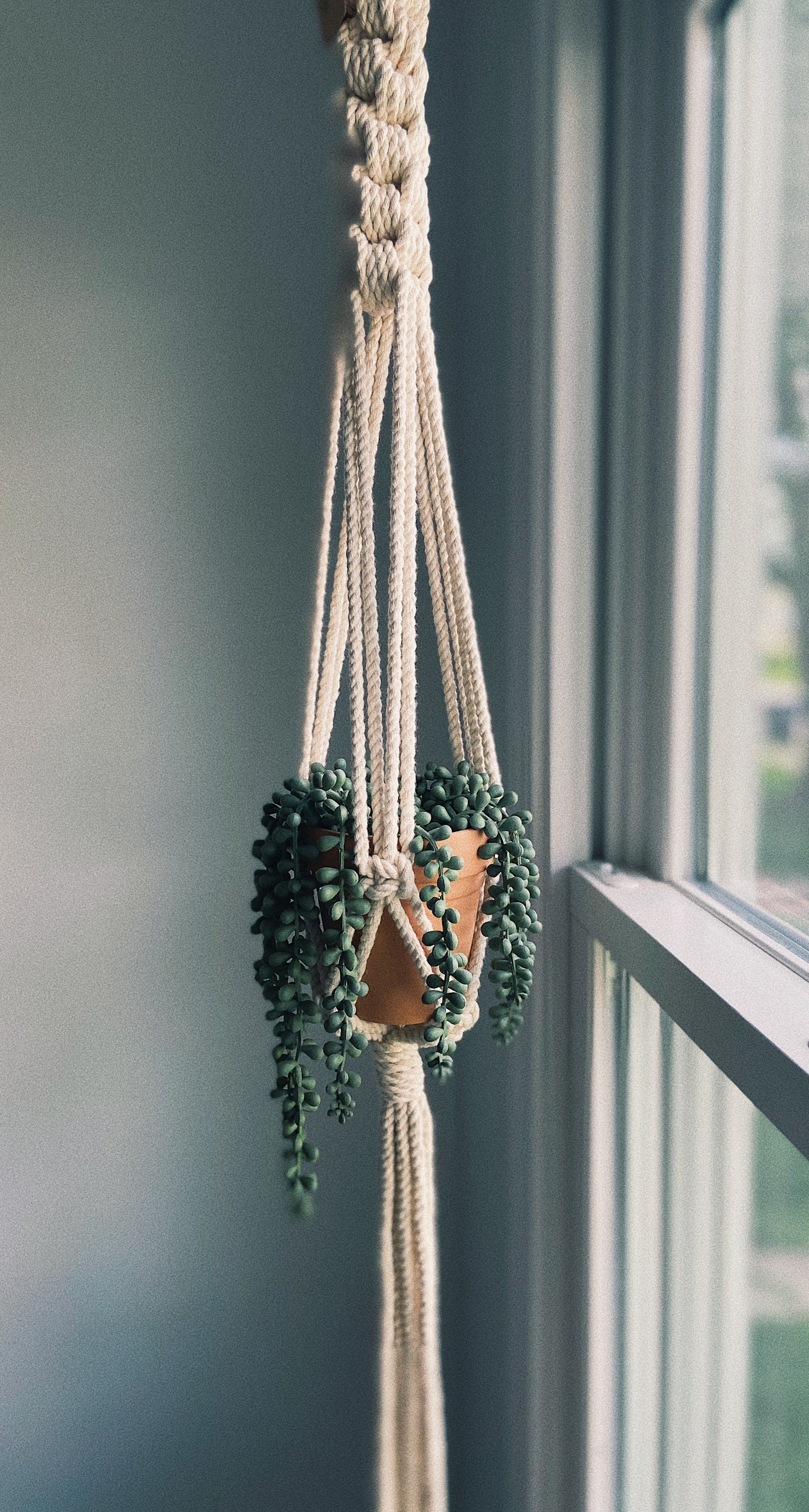 Thick Top Knot Plant Hanger / Macrame Plant Hanger Etsy