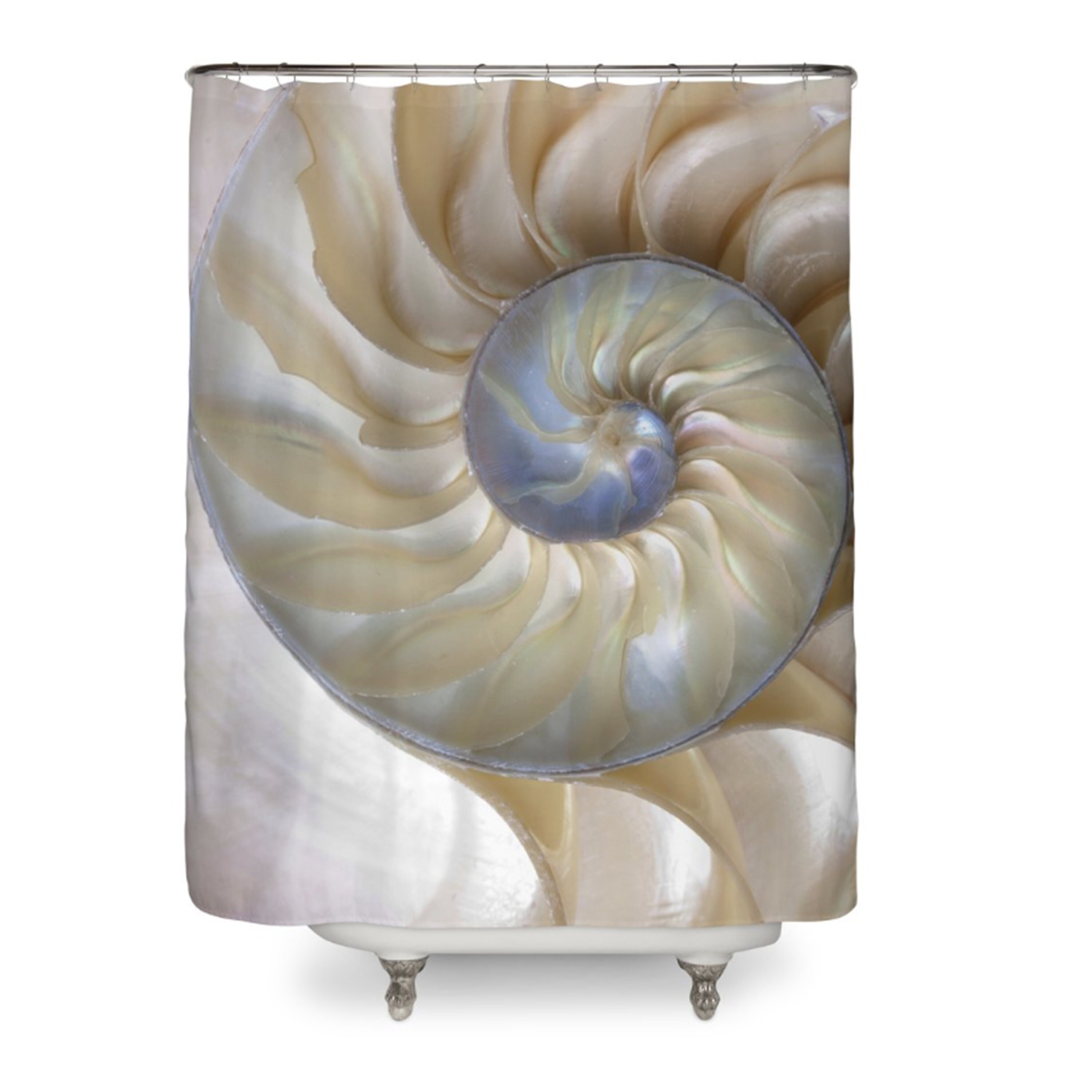 Nautilus Shell Shower Curtain Ocean Shower Curtains Beige Etsy