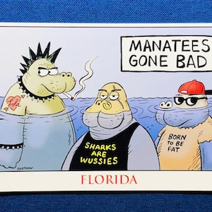 Manatees Gone Bad Pocztówka