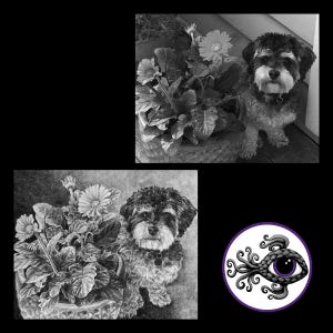 Custom Charcoal Pet Portraits