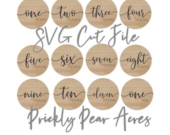 Download Baby Milestone Svg Etsy