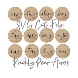 Eerste jaarrond maand mijlpalen SVG cut bestand voor Glowforge Instant Download voor pasgeboren, baby