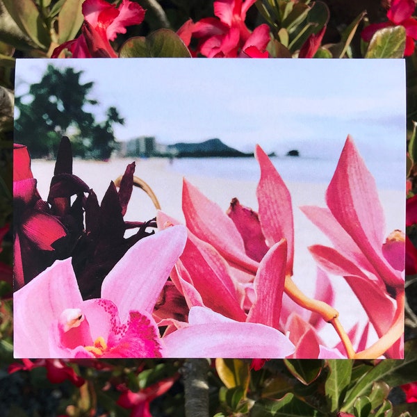 Diamond Head Waikiki Tropical Hawaiian Orchid Flowers All Occasion Greeting Cards