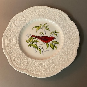 Vintage Royal Cauldon Bristol Ironstone China Summer Tanager Bird Decorated Luncheon Plate