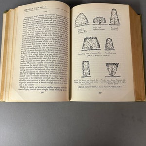 May include: A diagram illustrating different hedge shapes, including good and bad forms. The diagram shows how to trim hedges for a neat and tidy appearance. The text describes the different types of hedges and their care.
