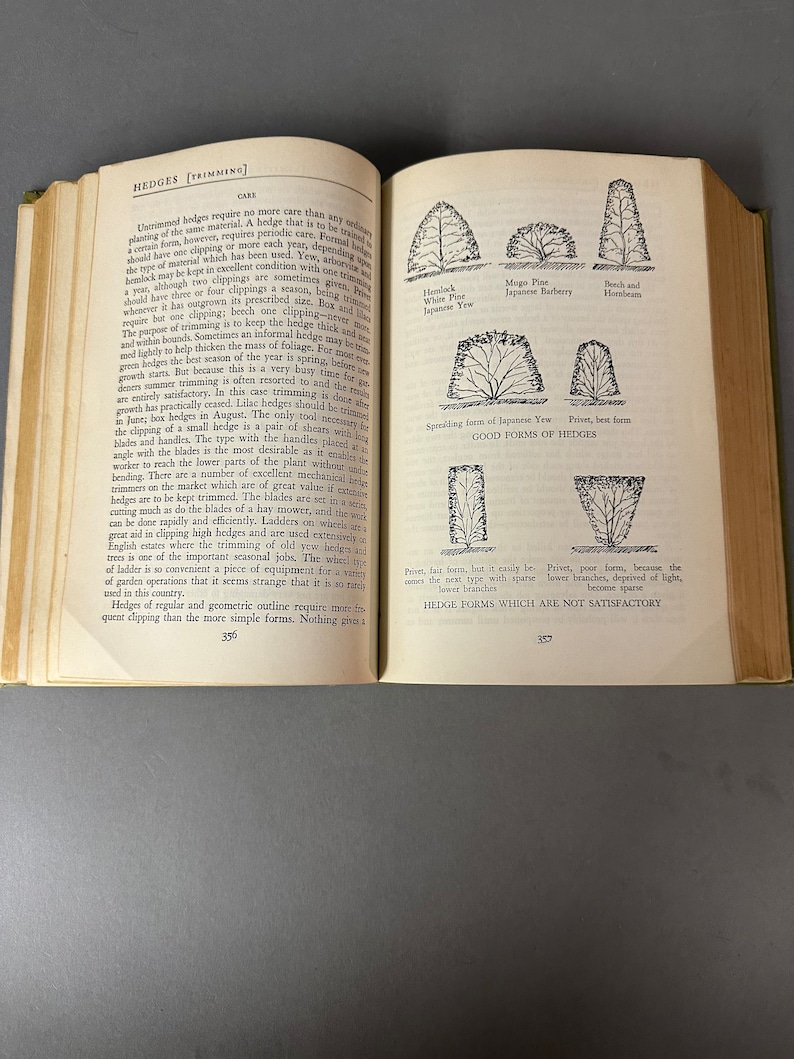 May include: A diagram illustrating different hedge shapes, including good and bad forms. The diagram shows how to trim hedges for a neat and tidy appearance. The text describes the different types of hedges and their care.