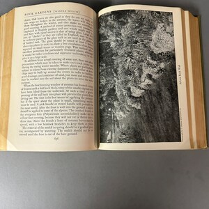 May include: A black and white photo of a rock garden wall with a lush green plant growing on the wall. The text "A Low Rock Wall" is printed in the bottom right corner of the image.