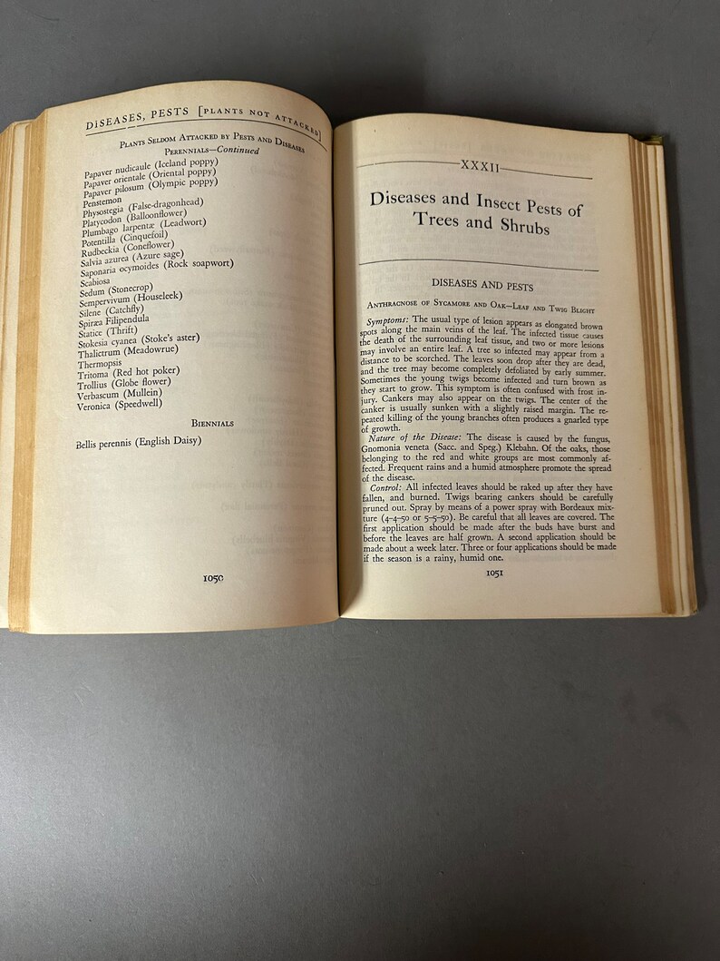 May include: A page from a book about diseases and insect pests of trees and shrubs. The page is titled "Diseases and Insect Pests of Trees and Shrubs" and includes information about anthracnose of sycamore and oak-leaf and twin blight.