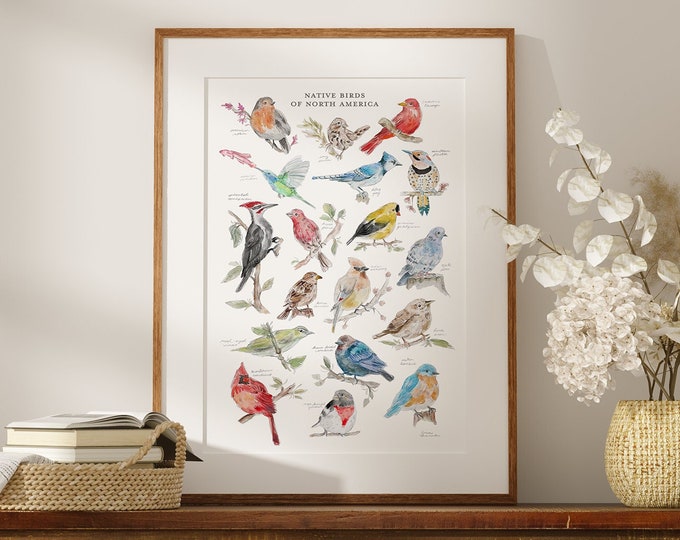 Native Birds of North America | Watercolor Wall Art Print