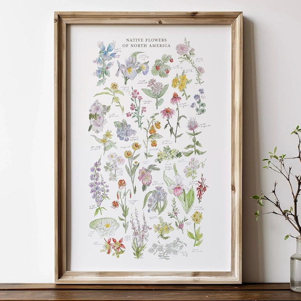 Flores nativas de América del Norte / Impresión de arte mural en acuarela