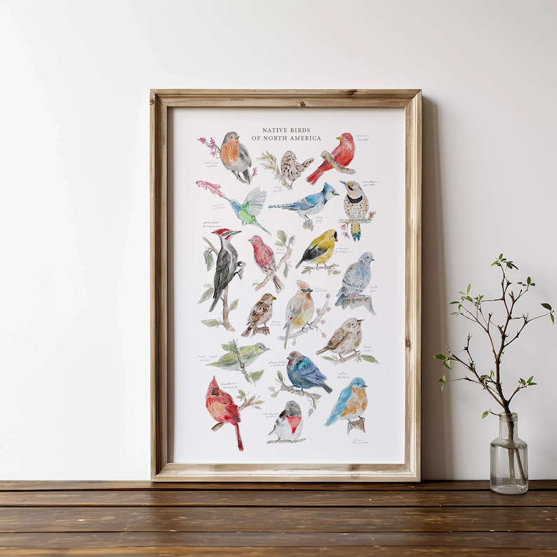 Native Bird Wall Art