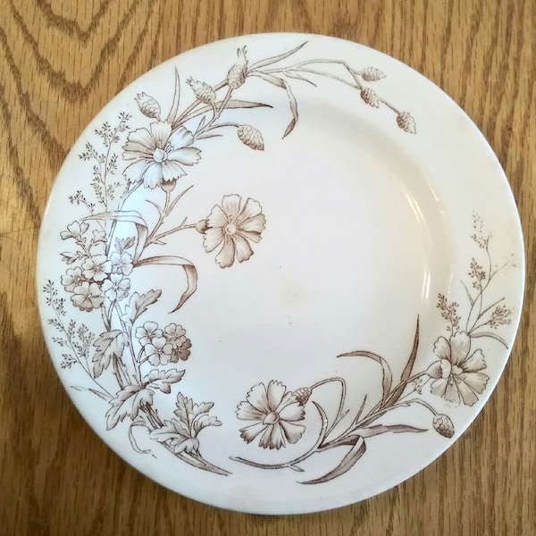 A vintage 7" semi-porcelain plate of brown transfer with a Verbenia pattern from England.  Dish 930