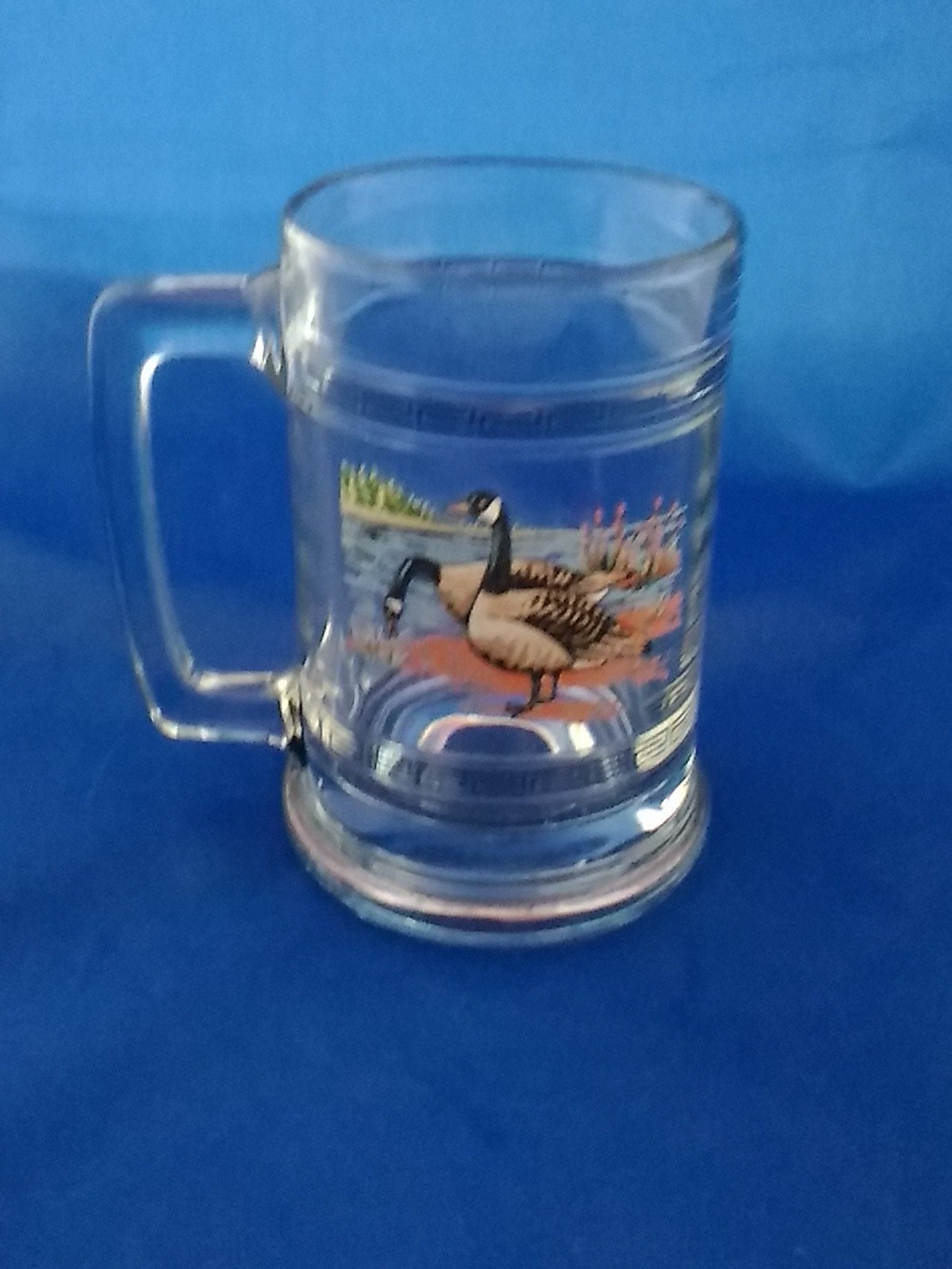 A Princess House 16 Fluid Ounce Glass Mug Handle That Has Etsy UK