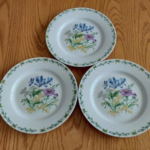 May include: Three white ceramic plates with a green vine border and a floral design featuring blue, purple, and yellow flowers.