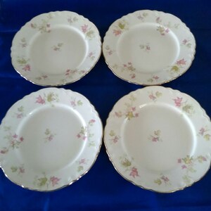A set of 4-8.25&quot; Maple Leaf patterned salad plates by Homer Laughlin.  HL 7