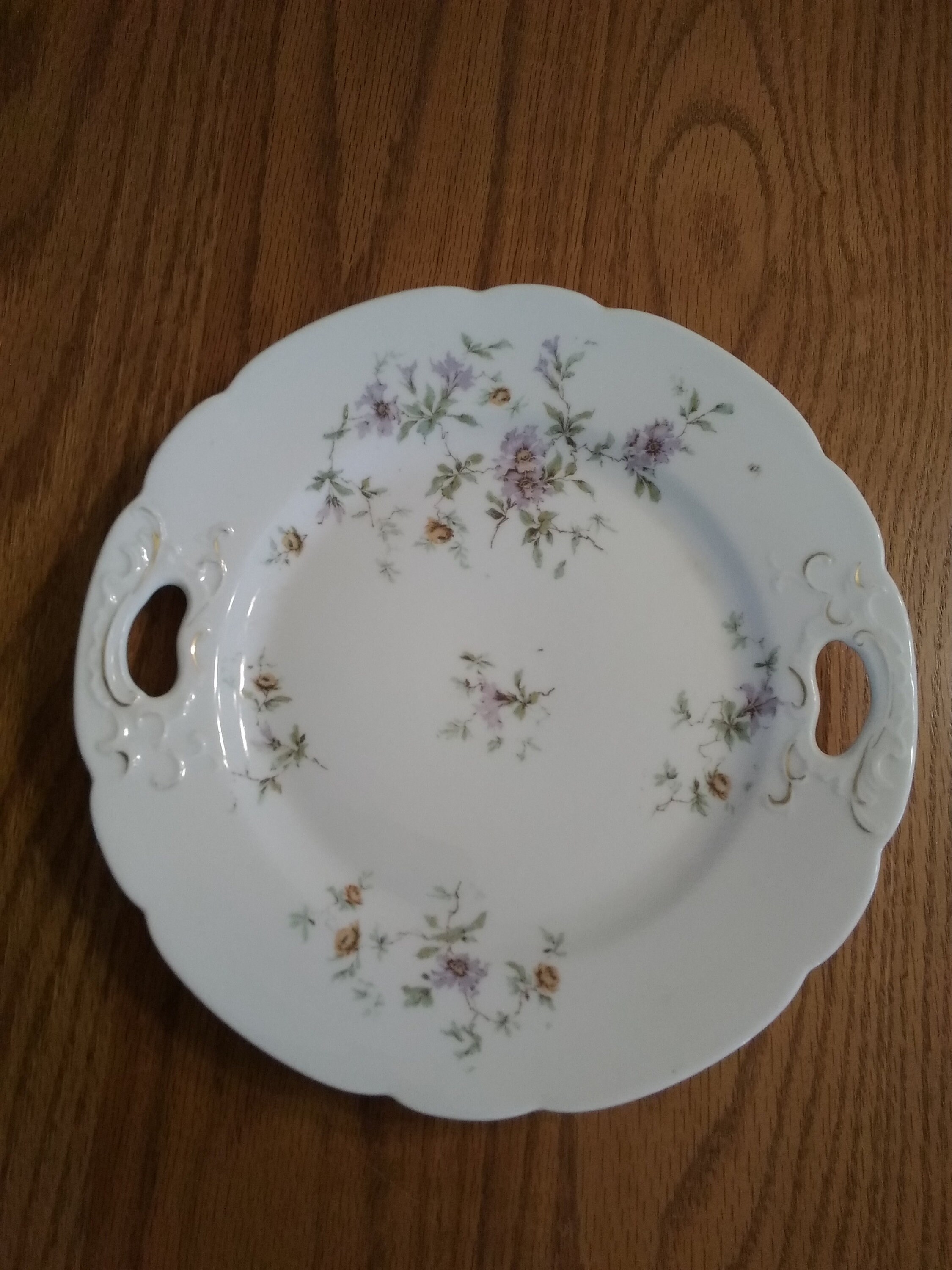 By Habsburg China from Austria in a porcelain plate with a Etsy
