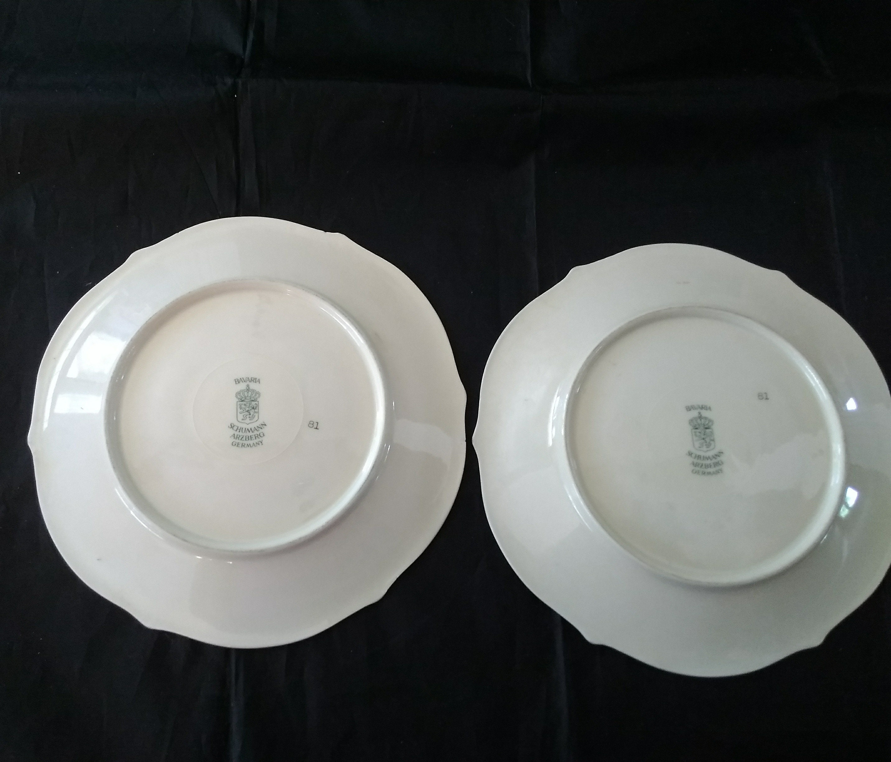 A Set of 2 Schumann Arzberg Porcelain Scalloped Wild Flower and Rose ...