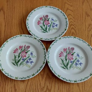 May include: Three white ceramic plates with a green vine border and a floral design featuring pink and blue flowers.