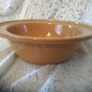 May include: A large, round, brown ceramic bowl with a slightly raised rim. The bowl is empty and has a glossy finish.