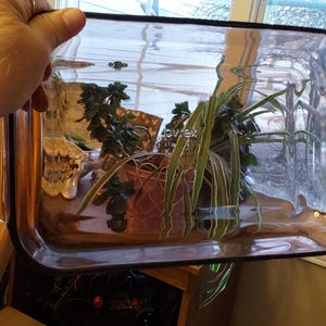 May include: A clear glass baking dish with a purple tint. The dish is empty and has two handles on the sides.