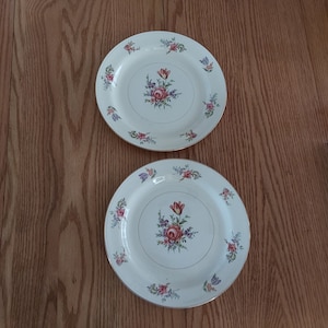 May include: Two white ceramic plates with floral designs. Each plate features a central bouquet of red, pink, and purple flowers, with additional floral clusters around the rim. The plates have gold trim.