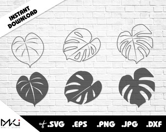 Monstera leaves SVG Bundle digital files
