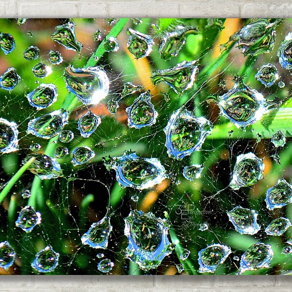 Water Drops - Abstract Nature Photography - Photo Print, Canvas Art, Metal Print - Macro Photography, Large Wall Art - Abstract Art Print