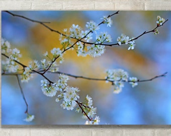Blue Abstract Floral Photo Print: Spring Blossom Wall Art - Mindful Art - Canvas, Metal, Paper
