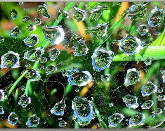 Water Drops - Abstract Nature Photography - Photo Print, Canvas Art, Metal Print - Macro Photography, Large Wall Art - Abstract Art Print