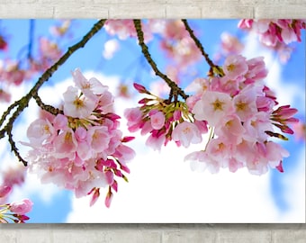 Abstract Photography, Cherry Blossom Wall Art - Photo Print, Canvas Art, Metal Print - Abstract Tree Art, Large Wall Art, Cherry Blossom Art